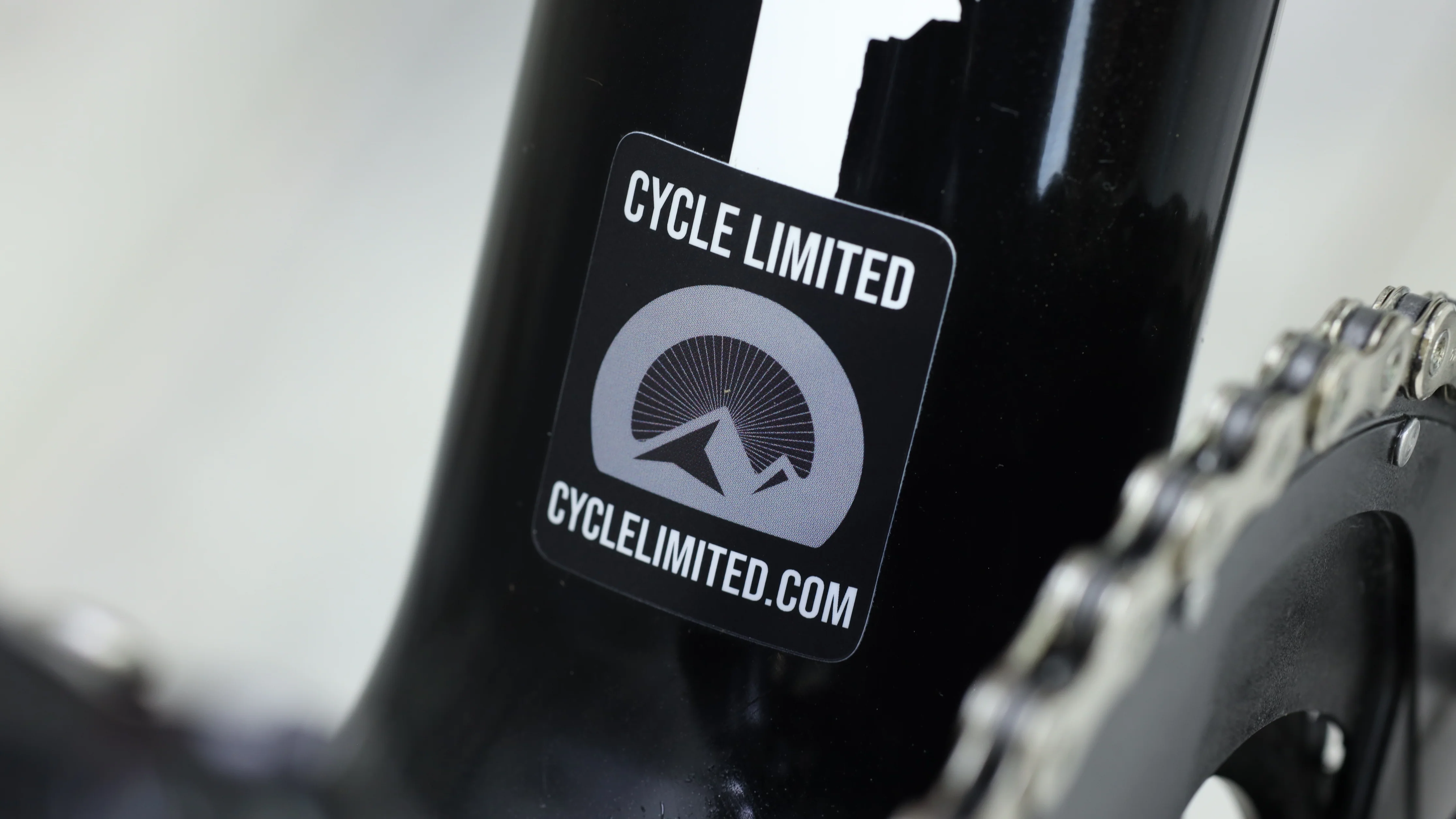2019 Parlee Altum Disc LE Road Bike - Large - Image 3