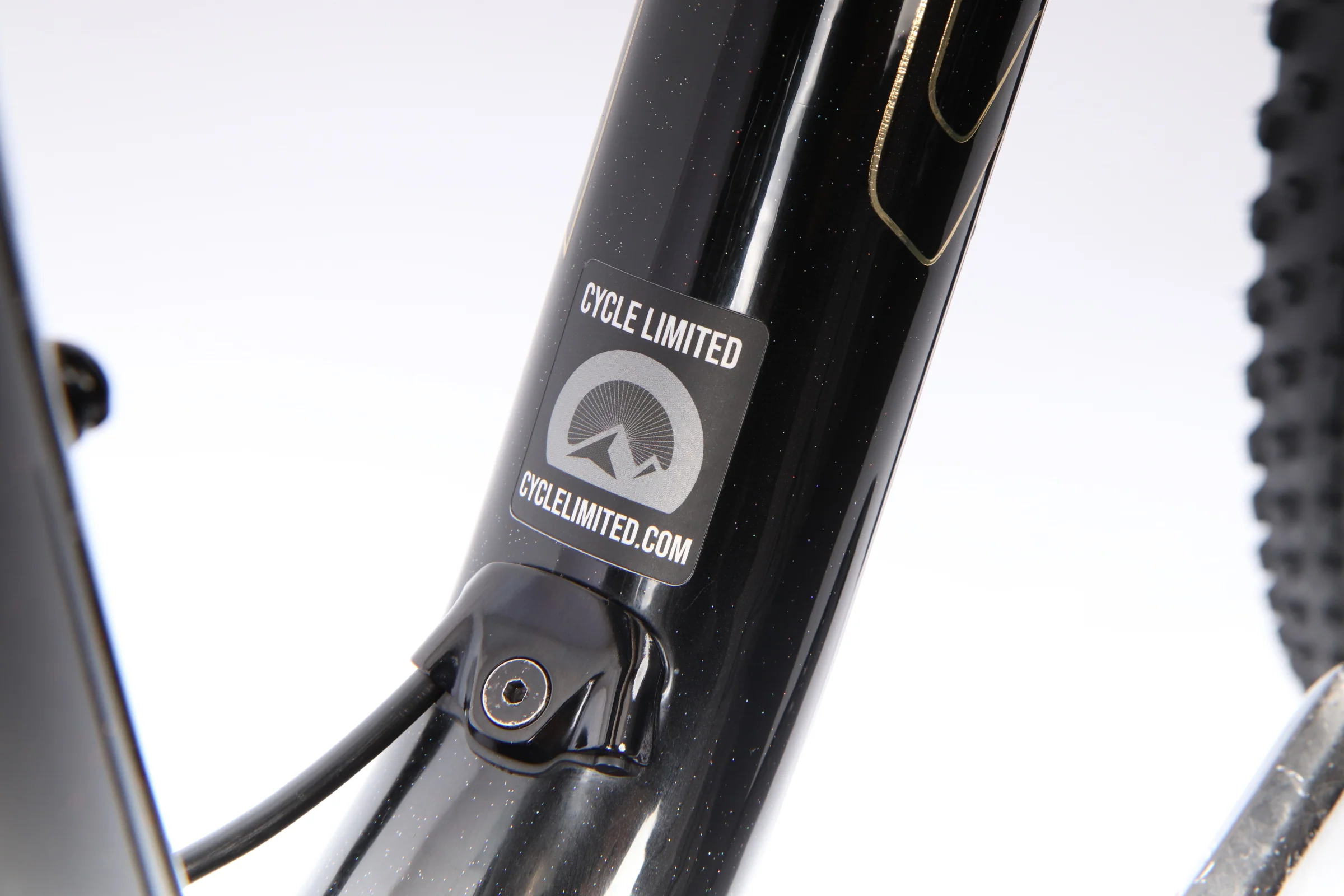 2020 Specialized S-Works Epic LTD  Mountain Bike - Medium - Image 3
