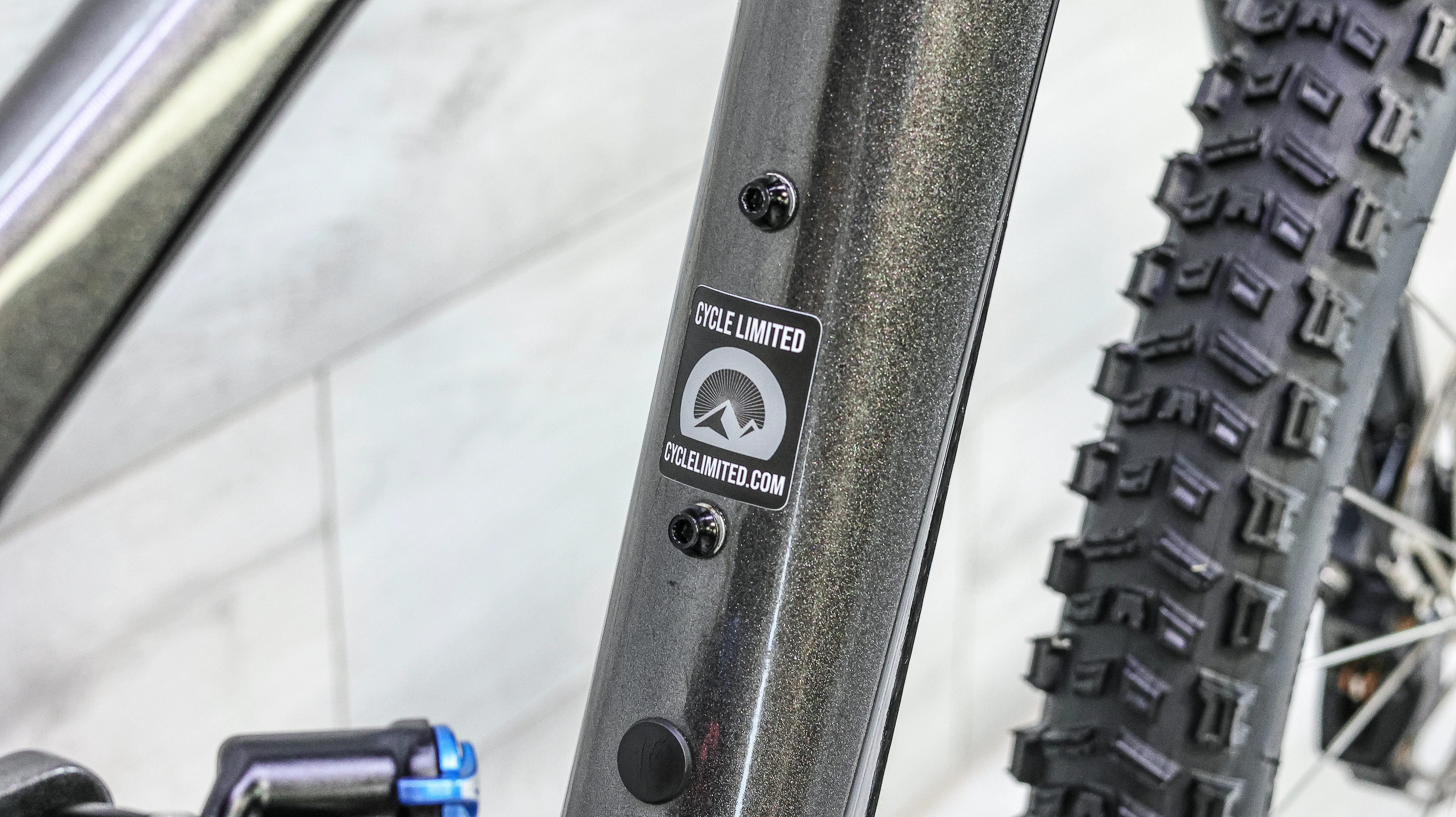 Giant Reign Advanced Pro 1 Mountain Bike - 2020, Small - Image 3