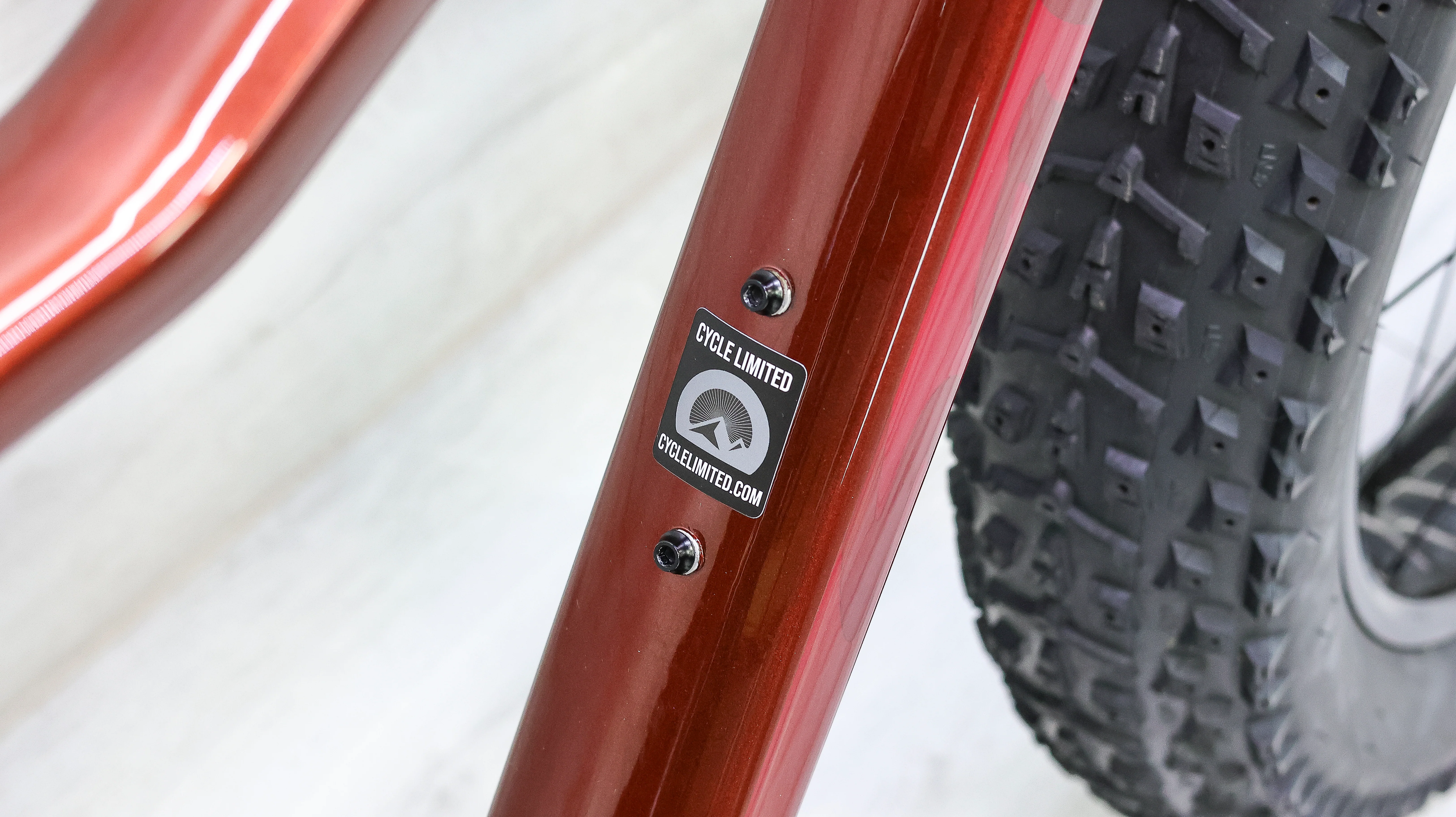 Salsa Mukluk Carbon GX Fat Bike - 2017, Medium - Image 3